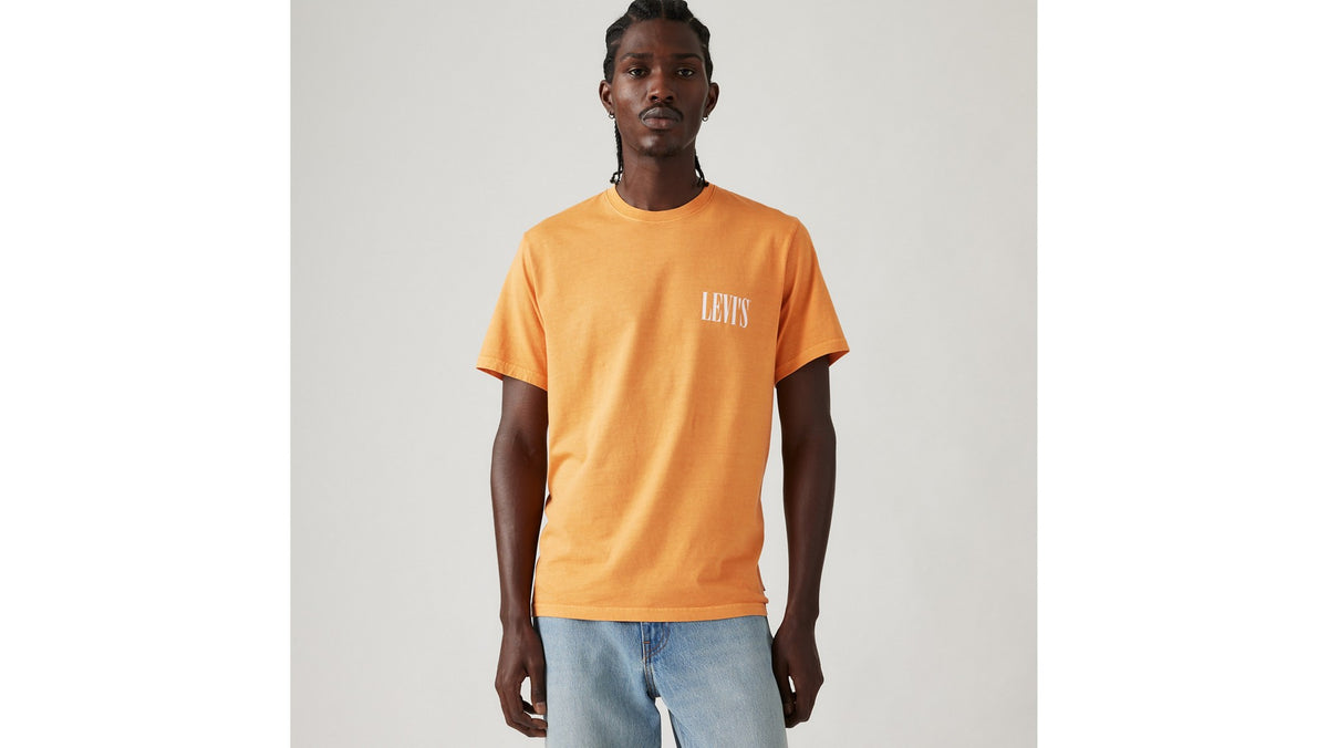 Levi's SS Relaxed Fit Tee Serif Logo Gold - φορεμένο