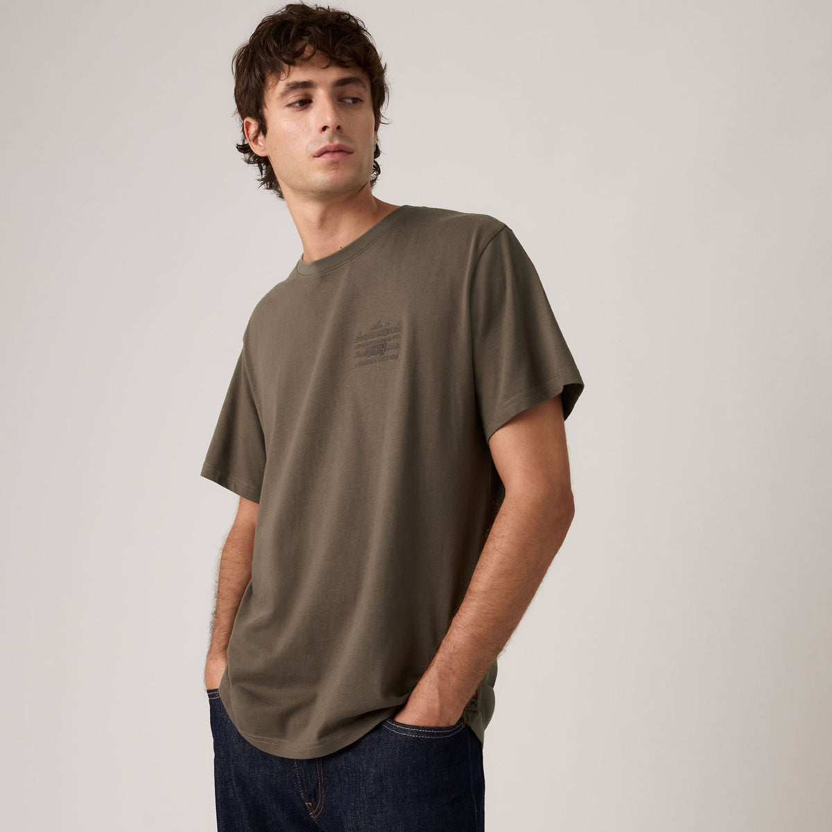 Levi's SS Relaxed Fit Tee American Legend 6 Maitake - λεπτομέρεια