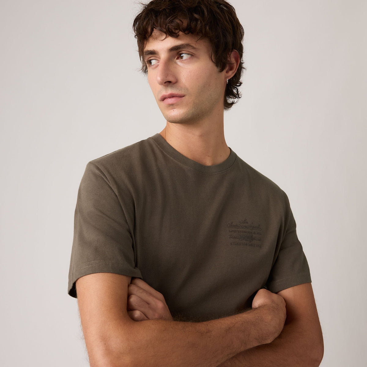 Levi's SS Relaxed Fit Tee American Legend 6 Maitake - λεπτομέρεια σχεδίου
